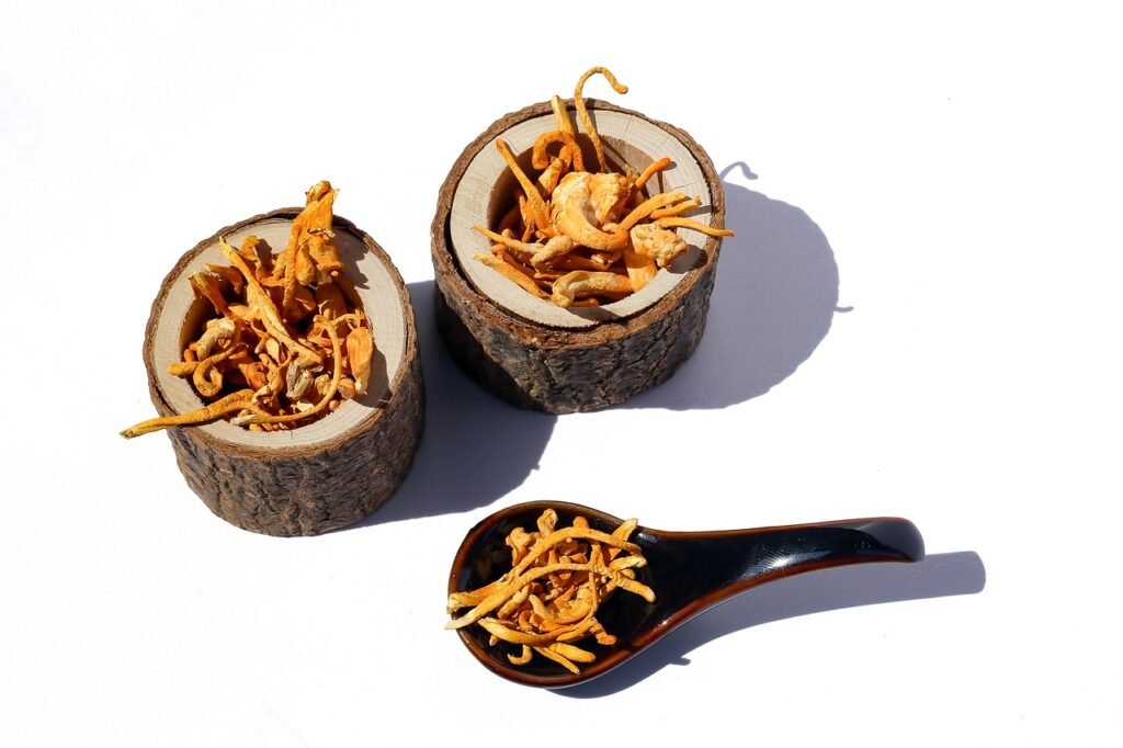 cordyceps, mushrooms, herbs